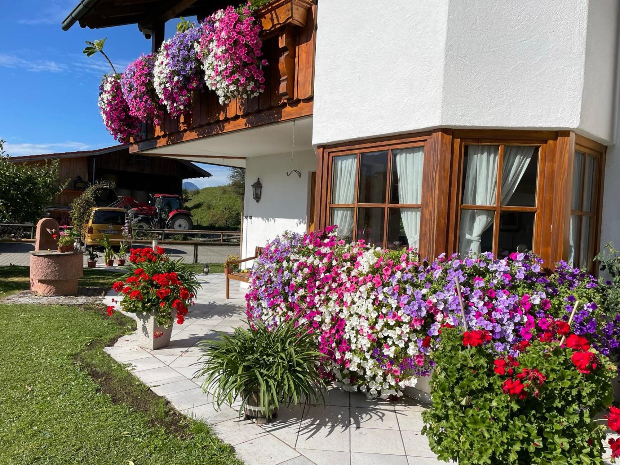 Gaestehaus Seeklause Schwangau Luaran gambar